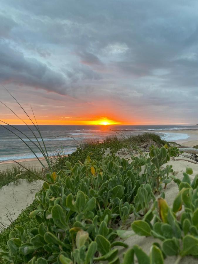 Soutelande Country Stay - Close To 1#Beach In Pe Port Elizabeth Bagian luar foto
