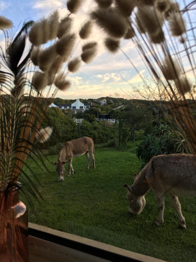 Soutelande Country Stay - Close To 1#Beach In Pe Port Elizabeth Bagian luar foto