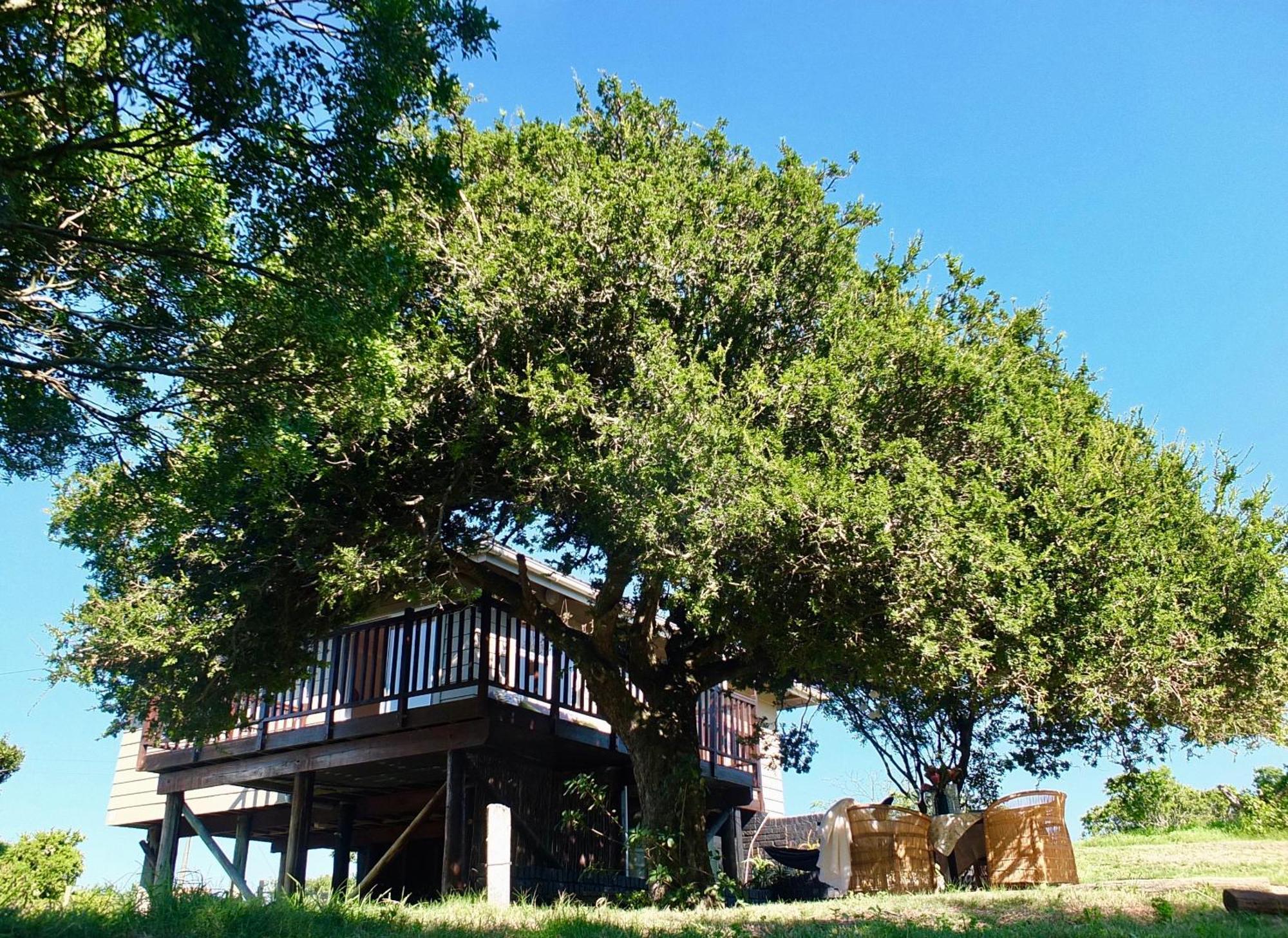 Soutelande Country Stay - Close To 1#Beach In Pe Port Elizabeth Bagian luar foto