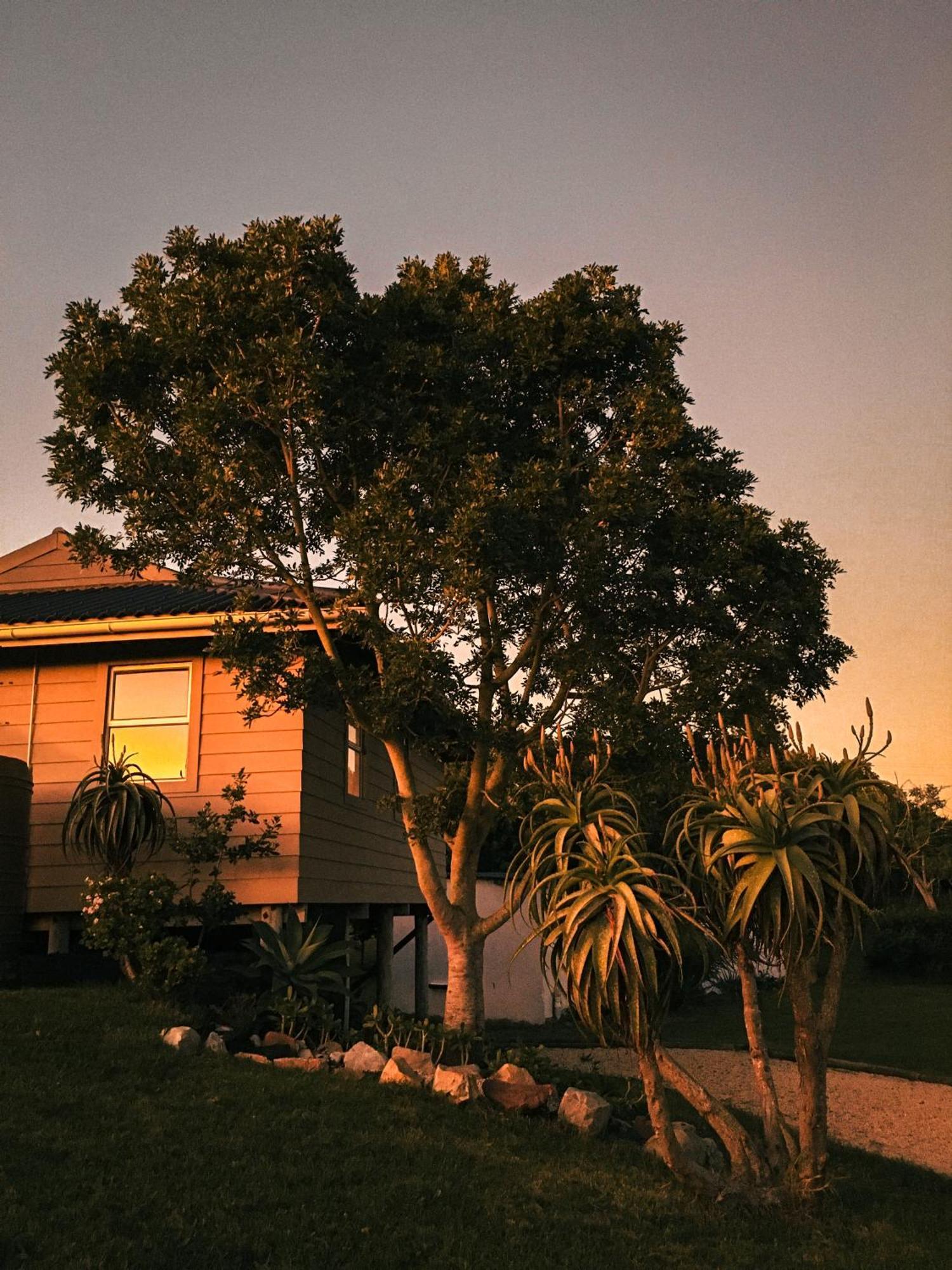 Soutelande Country Stay - Close To 1#Beach In Pe Port Elizabeth Bagian luar foto